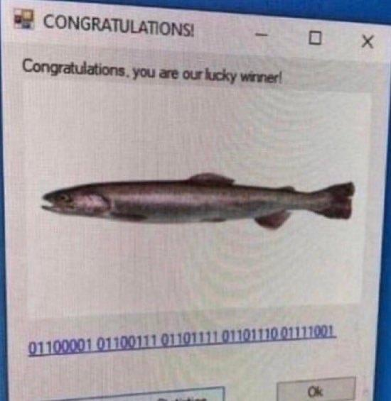 You won a fish!