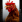 Bird Icon